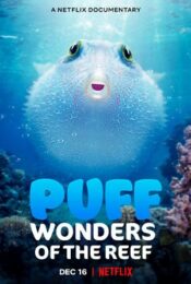 Puff Wonders of the Reef (2021) พัฟฟ์ มหัศจรรย์แห่งปะการัง movie2uhd