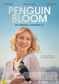 Penguin Bloom (2020) เพนกวิน บลูม movie2uhd