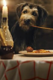 Lady and the Tramp movie2uhd