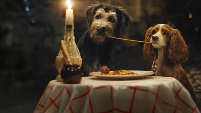 Lady and the Tramp movie2uhd