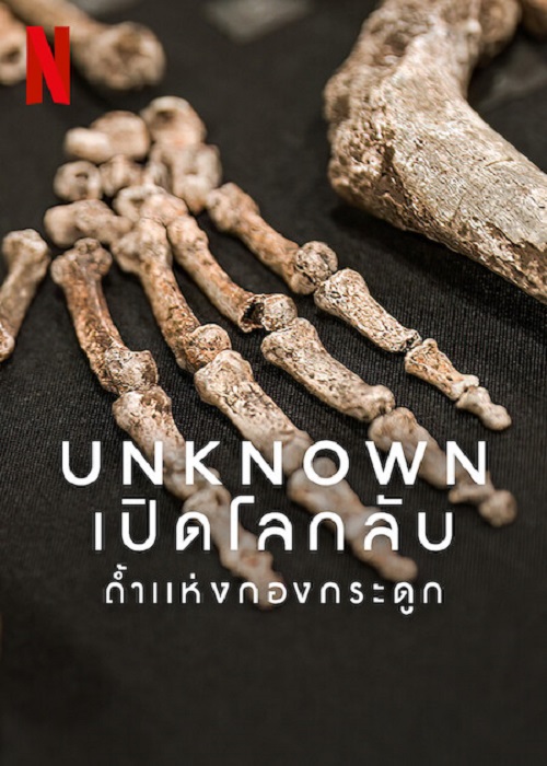 ดูหนังออนไลน์พากย์ไทย Unknown Cave of Bones 2023 เปิดโลกลับ ถ้ำแห่งกองกระดูก nunghdmai
